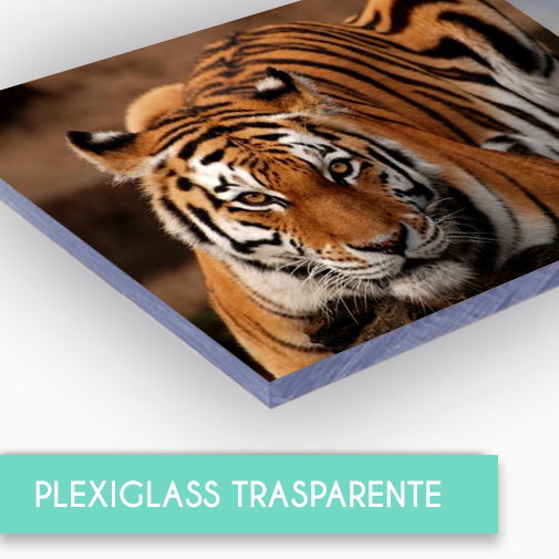 Pannelli in Plexiglass Trasparente