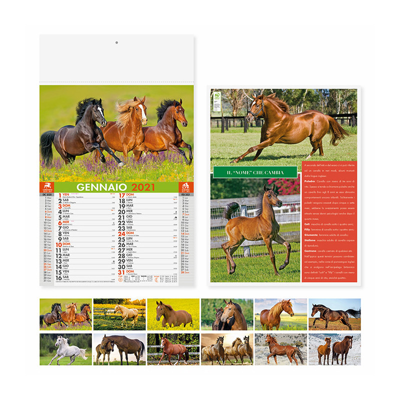 Calendari illustrati cavalli PA107